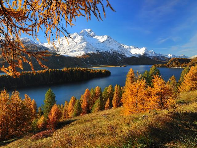 如何快速有效的设计字体LOGO_复制_复制